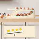 Dispenser Automático De Ovos 2 Andares Para Refrigerador Bancada Organizador de Cozinha
